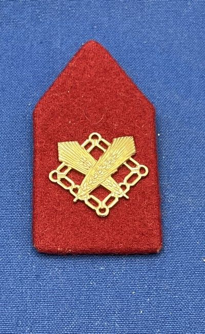 Nederland - M - Regiment Intendance Troepen. (kraagspiegel) (282)