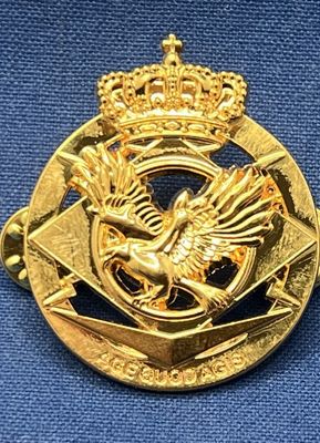 België - Belgian Air force 80th UAV Squadron (361)