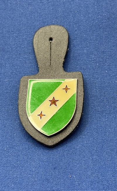 Duitsland - B - Pantsergrenadier bataljon 202 (391)