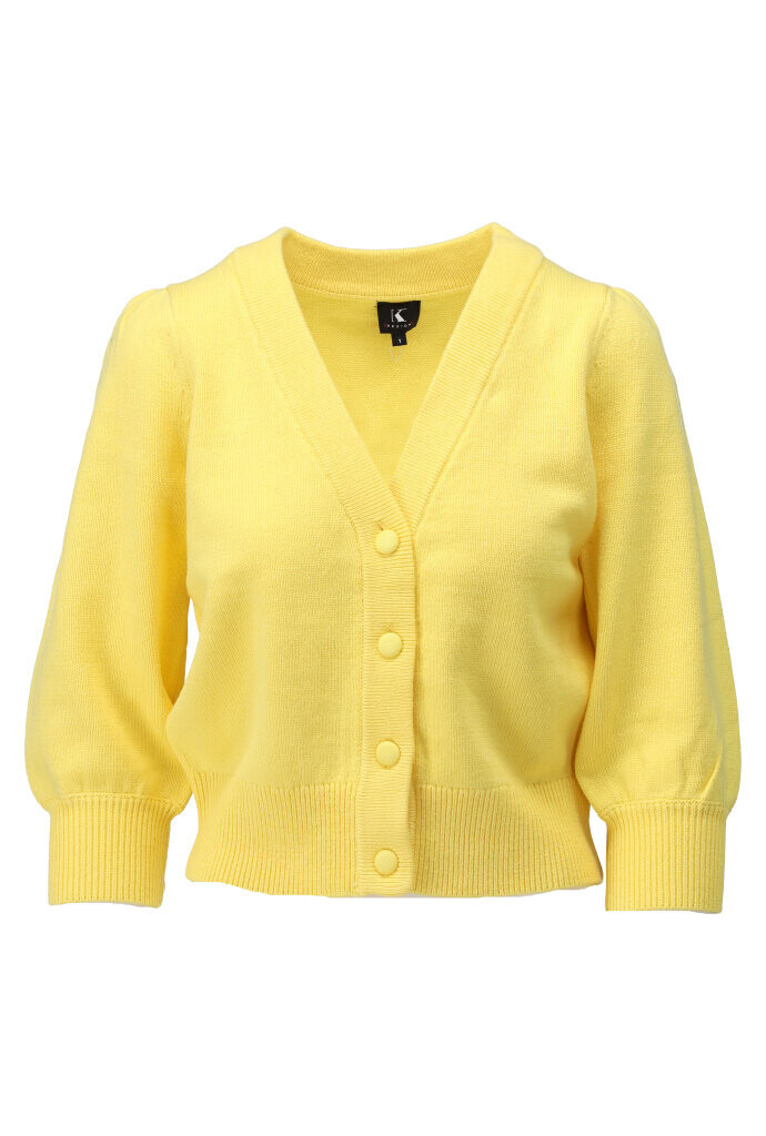 GILET VAN K DESIGN
Y823 Lemon zest