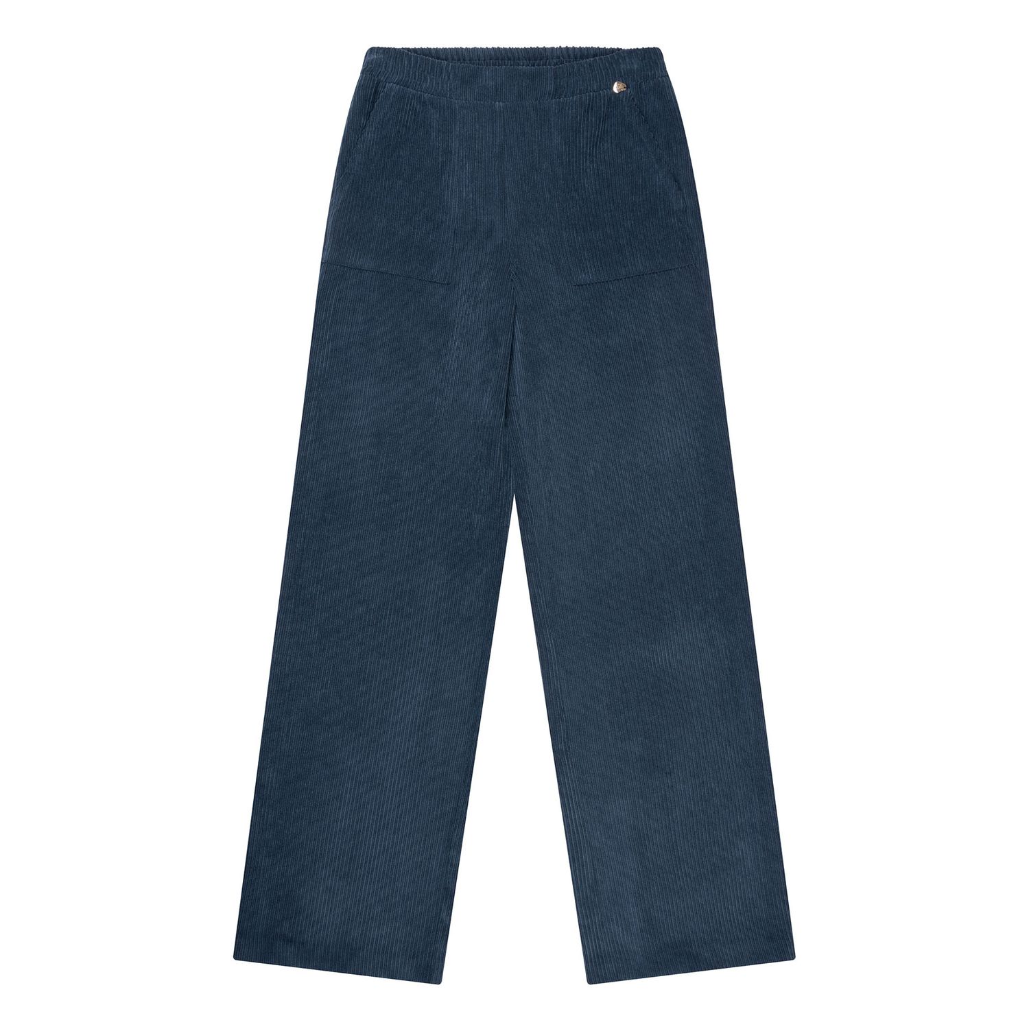 BROEK VAN GREEN ICE TUVALLU  Navy