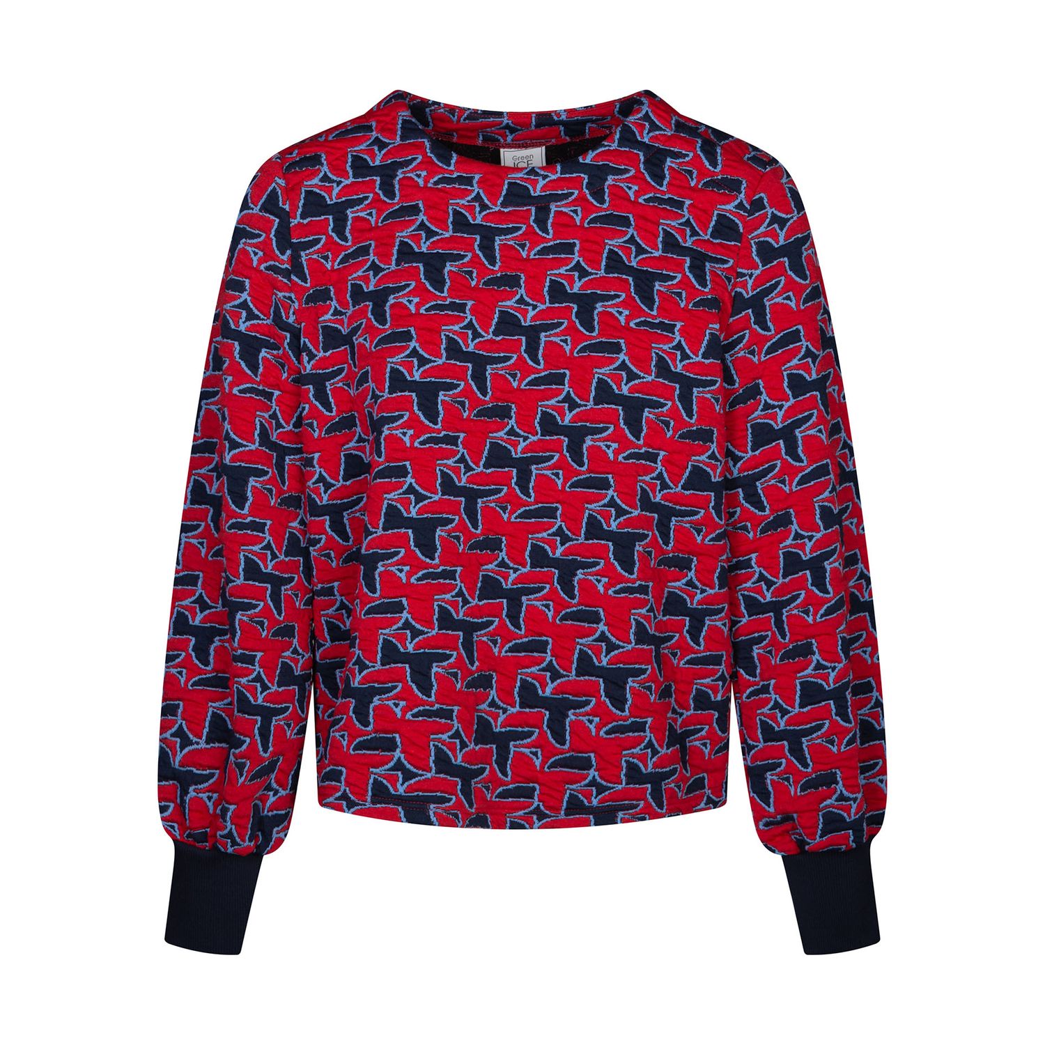 SWEATER VAN GREEN ICE NATARA  Red