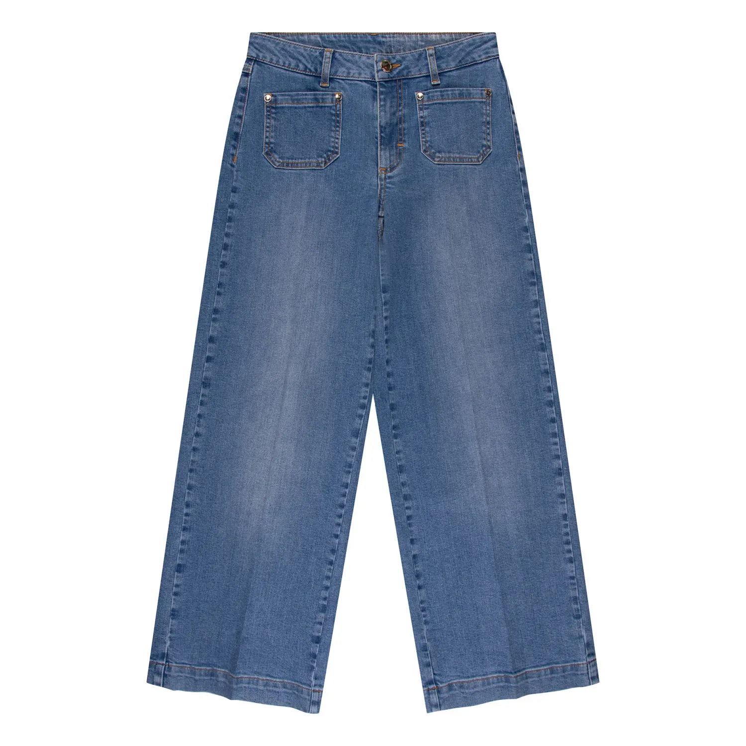 BROEK VAN GREEN ICE HOBSTER  Blue