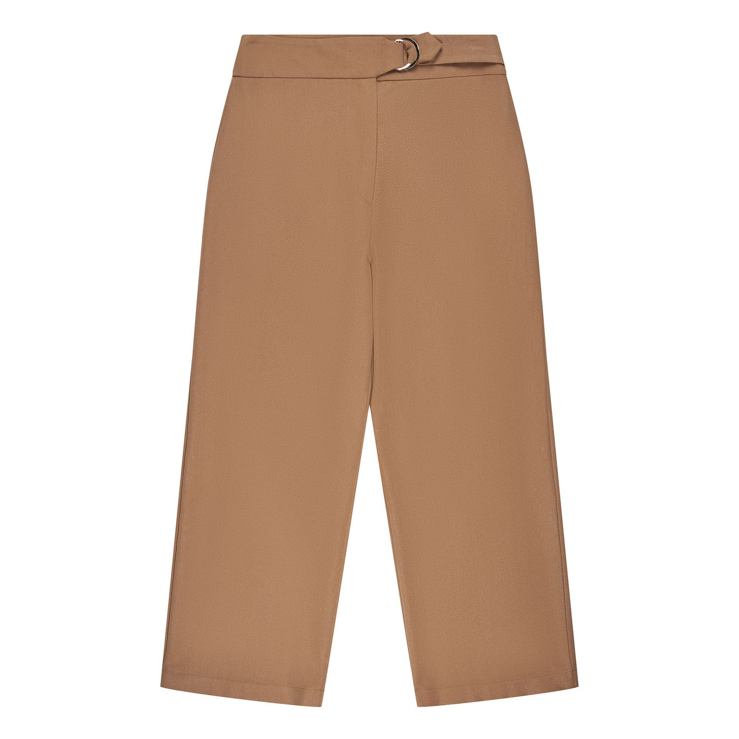 BROEK VAN GREEN ICE BROOME  Camel