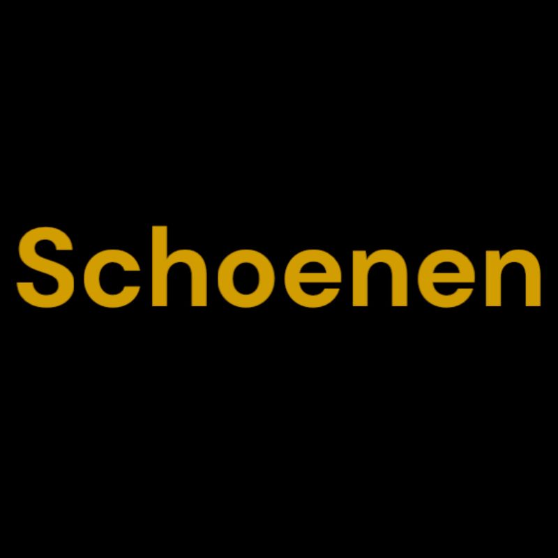 Schoenen