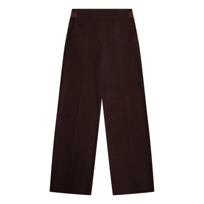 BROEK VAN GREEN ICE WIXO  Brown