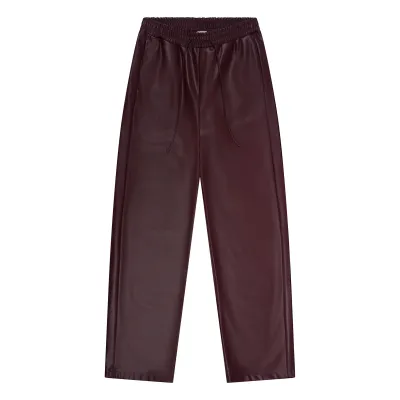 BROEK VAN GREEN ICE WICEL  Prune