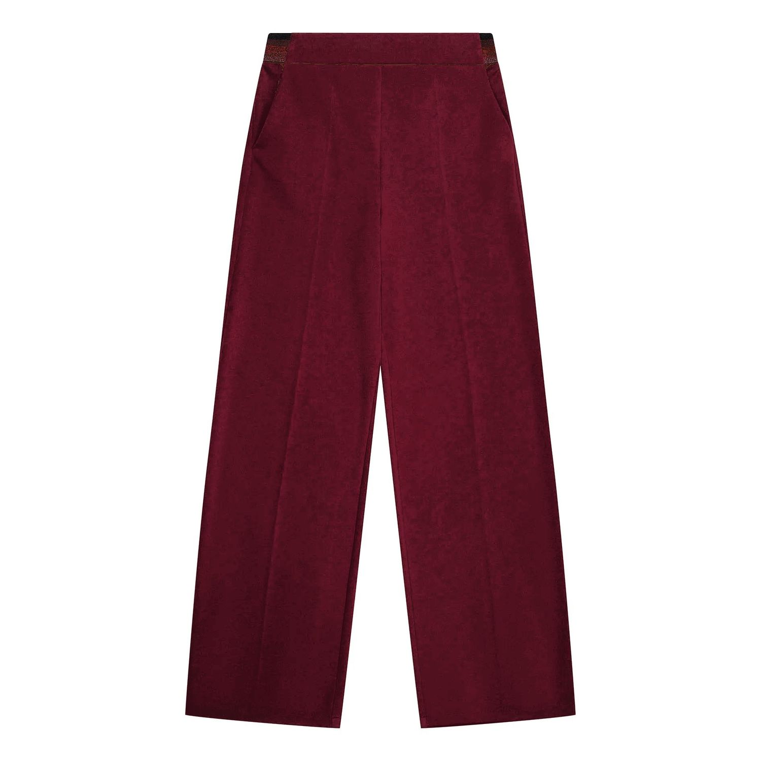 BROEK VAN GREEN ICE WIXO  Bordeaux