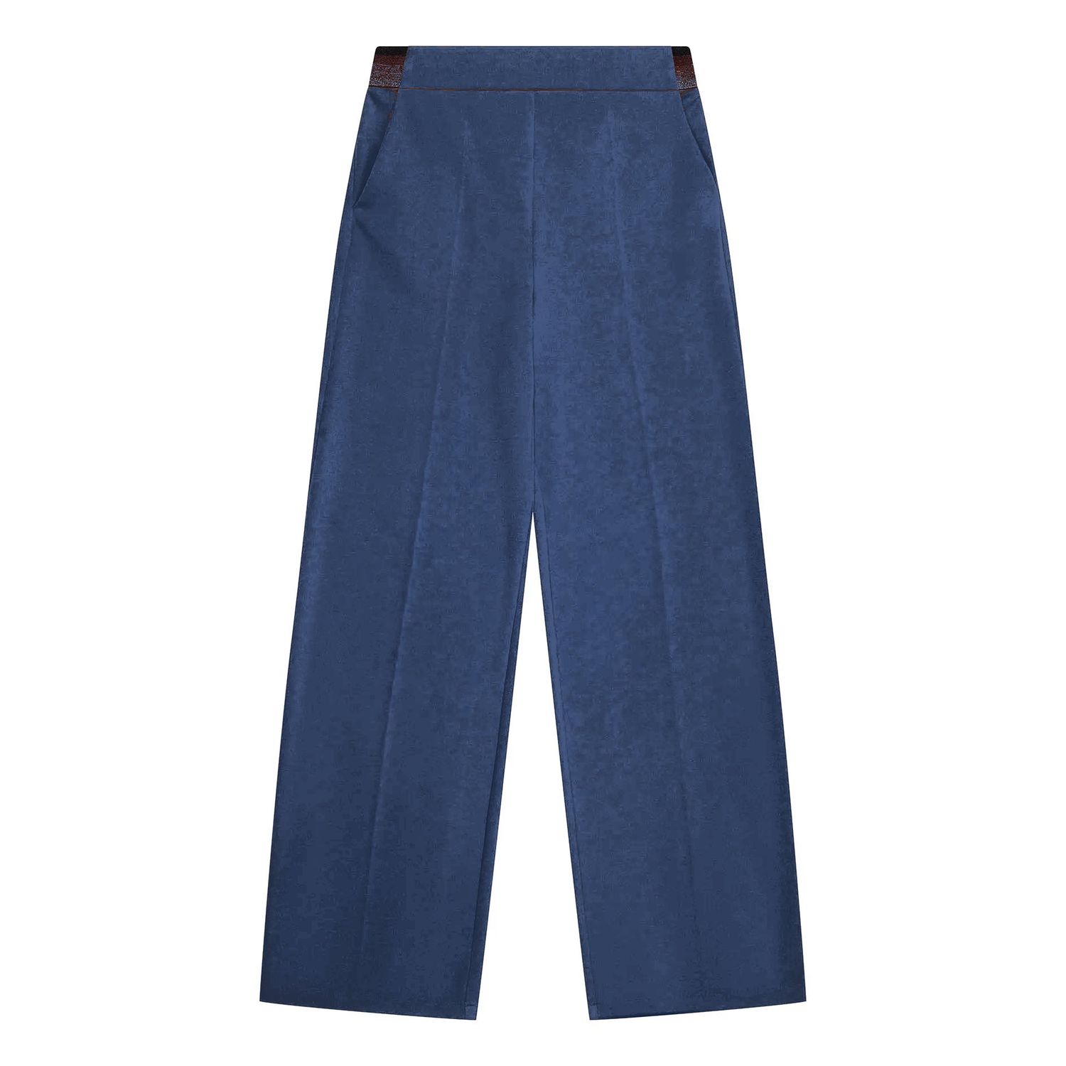 BROEK VAN GREEN ICE WIXO  Blue