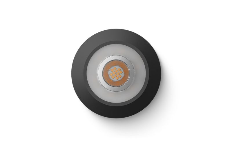 LED Spot RGBW Tree Antraciet