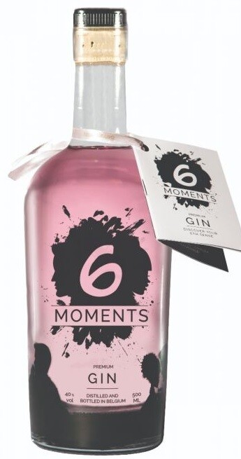 Gin - 6 Moments - 40% - 50cl