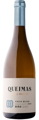 Branco Field Blend - Quinta das Queimas - 2021 - 75cl