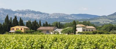Ventoux - Domaine Aymard