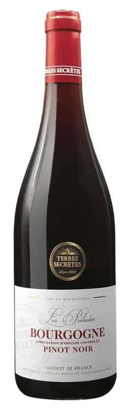 Bourgogne Pinot Noir - Les Préludes - Associès - 2022 - 75cl