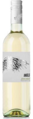 Pinot Grigio - Angelo - 2024 - 75cl