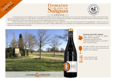 Domaine la Font de Salignan - 2019 - 75cl