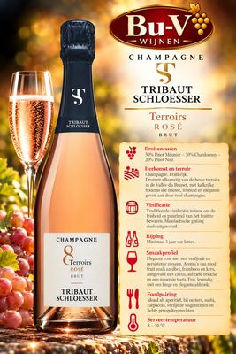 Champagne - Tribaut-Schloesser - Rosé - Brut - 75cl