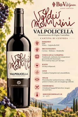 Valpolicella - Val dei Molini - 2019 - 75cl