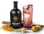 Gin - Forest - Autumm - 42% - 50cl