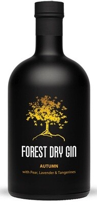 Gin - Forest - Autumm - 42% - 50cl - (P)
