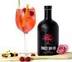Gin - Forest - Spring - 42% - 50cl