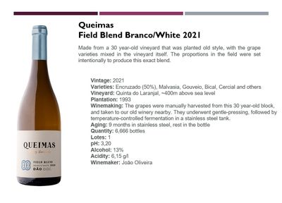Branco - Field Blend - Quinta das Queimas - 2021 - 75cl - (P)