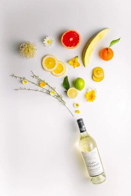 Negroamaro Bianco - Salento - Podere Don Cataldo - 2024 - 75cl