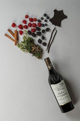 Nero di Troia - Podere Don Cataldo - 2023 - 75cl