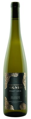 Pinot Gris - Vignum - 2024 - Wellenstein Foulschette - Grand Premier Cru - Domaine Vinsmoselle - 75cl
