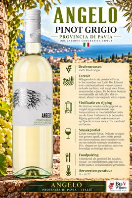Pinot Grigio - Angelo - 2024 - 75cl