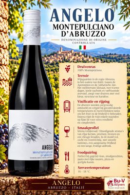 Montepulciano d'Abruzzo - Angelo - 2023 - 75cl