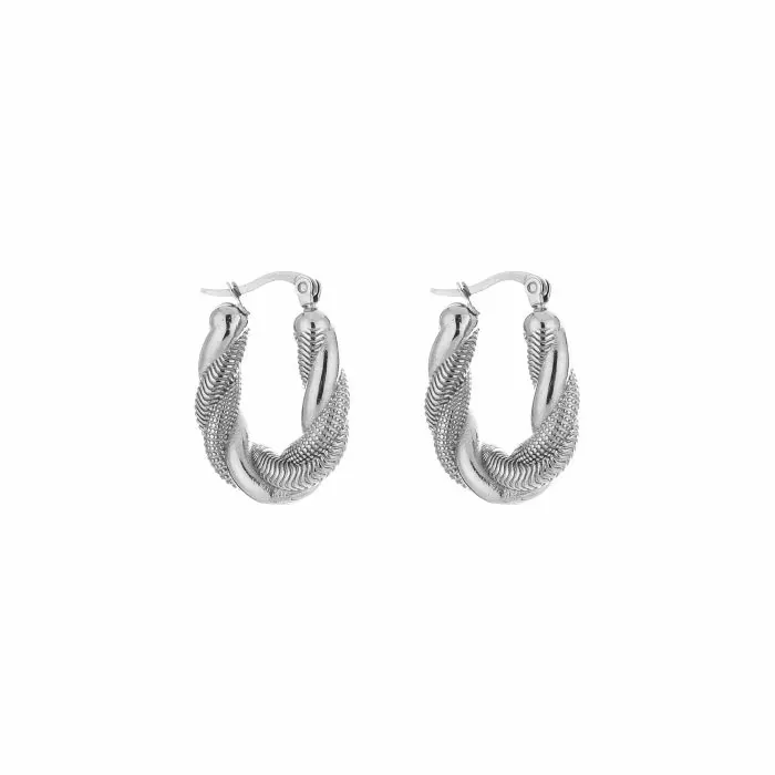 Gedraaide oorbellen - Zilver