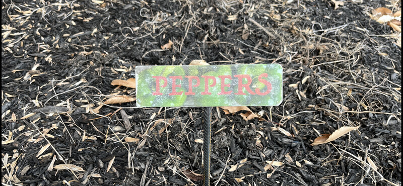 Garden Marker Image Transfer Peppers