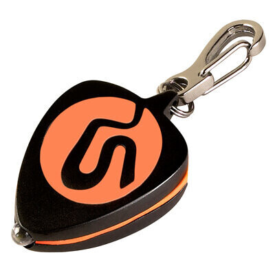 'The logo' keychain light