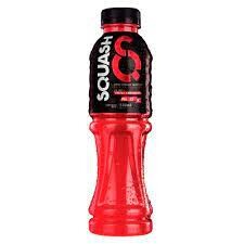 Squast 500ml*12