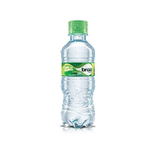 Agua pet brisa gas 280ml*24