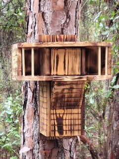 Custom, dual entry, Predator proof Squirrel Condo