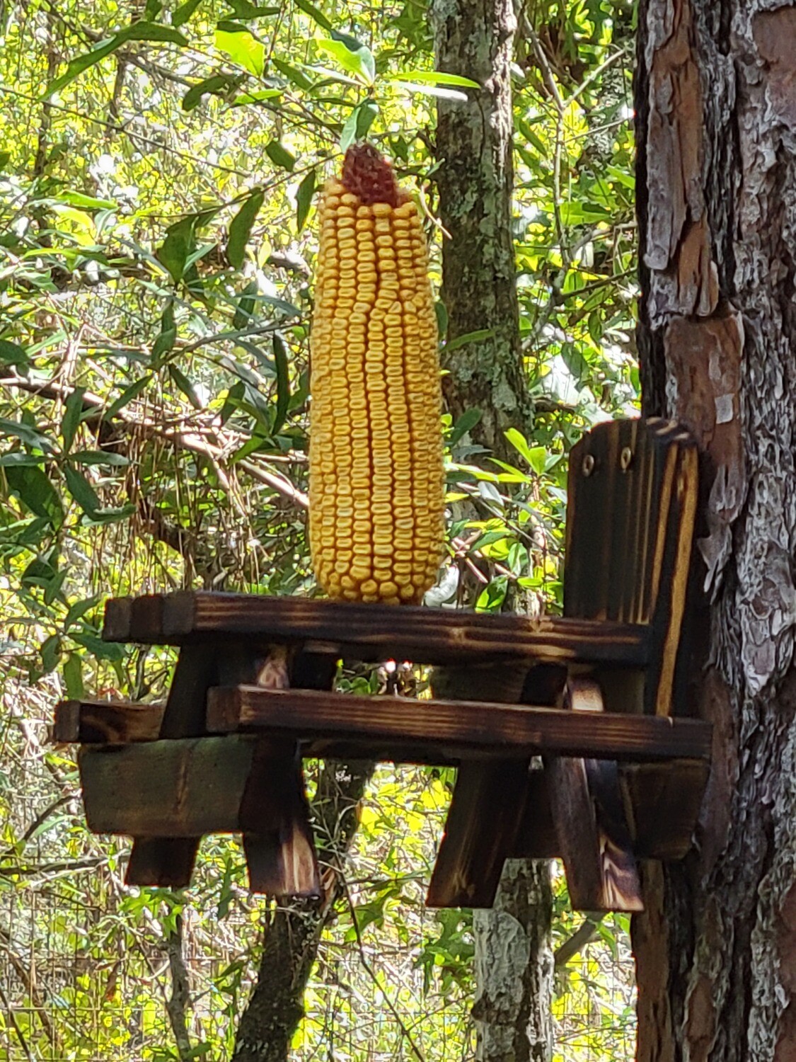 Picnic Table Feeder