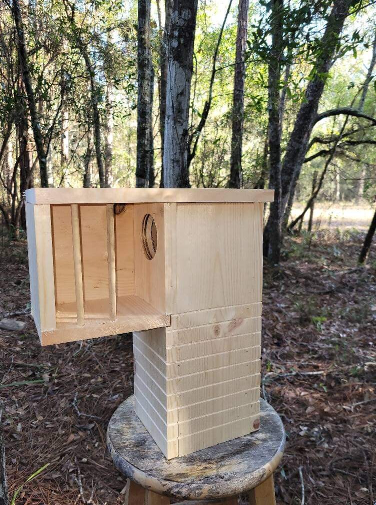Untreated Single entry, predator proof squirrel condo