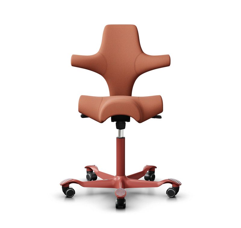 Capisco 8106 red «New Blush Rose» (HÅG)