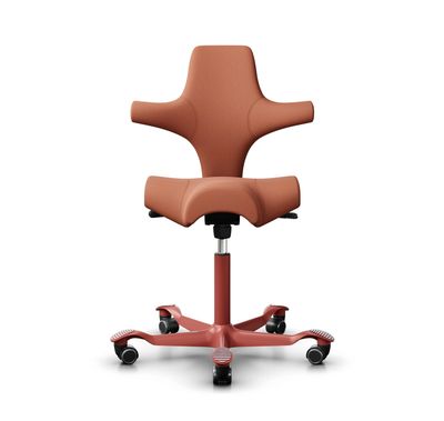 Capisco 8106 red «New Blush Rose» (HÅG)