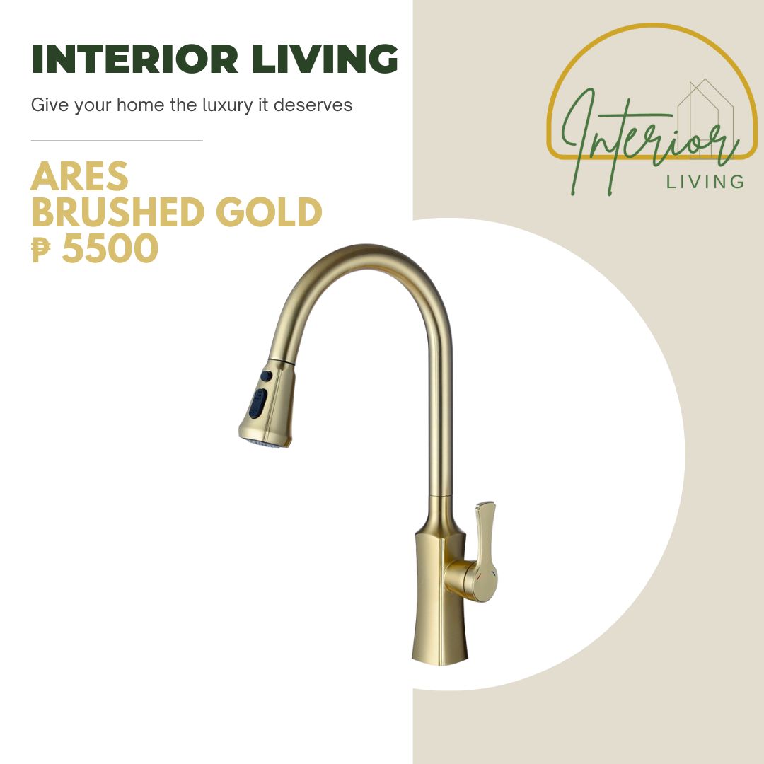 Ares Pull-Out Kitchen Faucet