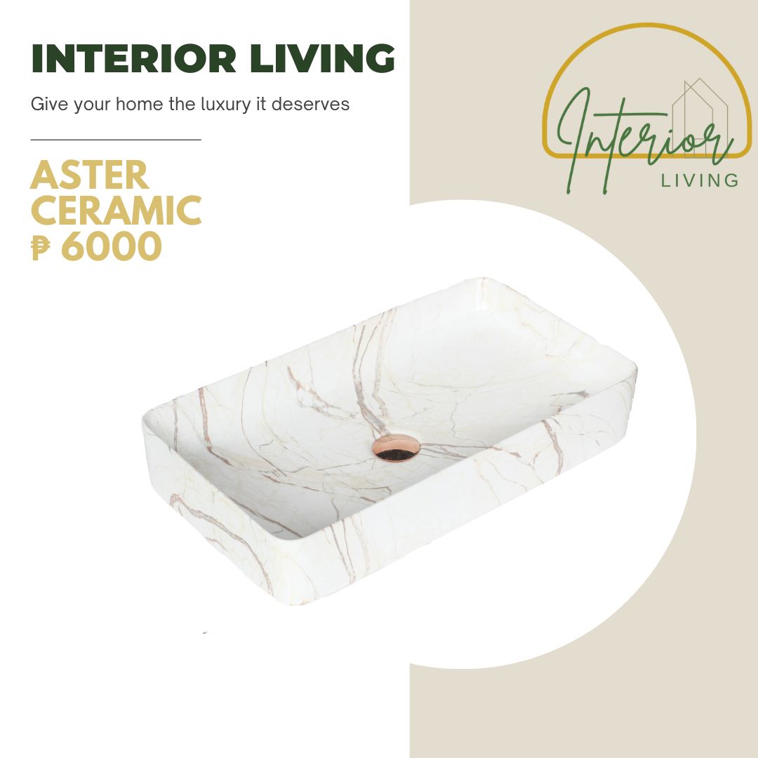 Aster Ceramic Counter Top Basin