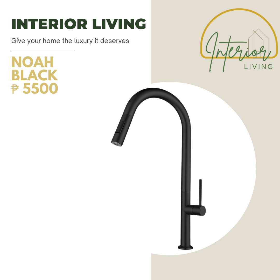 Noah Matte Black-Pull out Kitchen Faucet