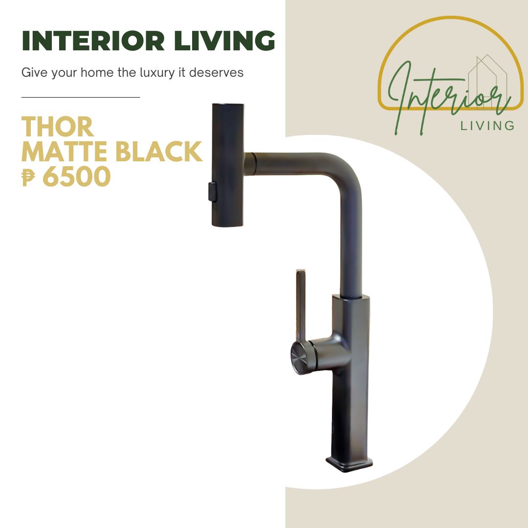 Thor Black Pull-Out Kitchen Faucet