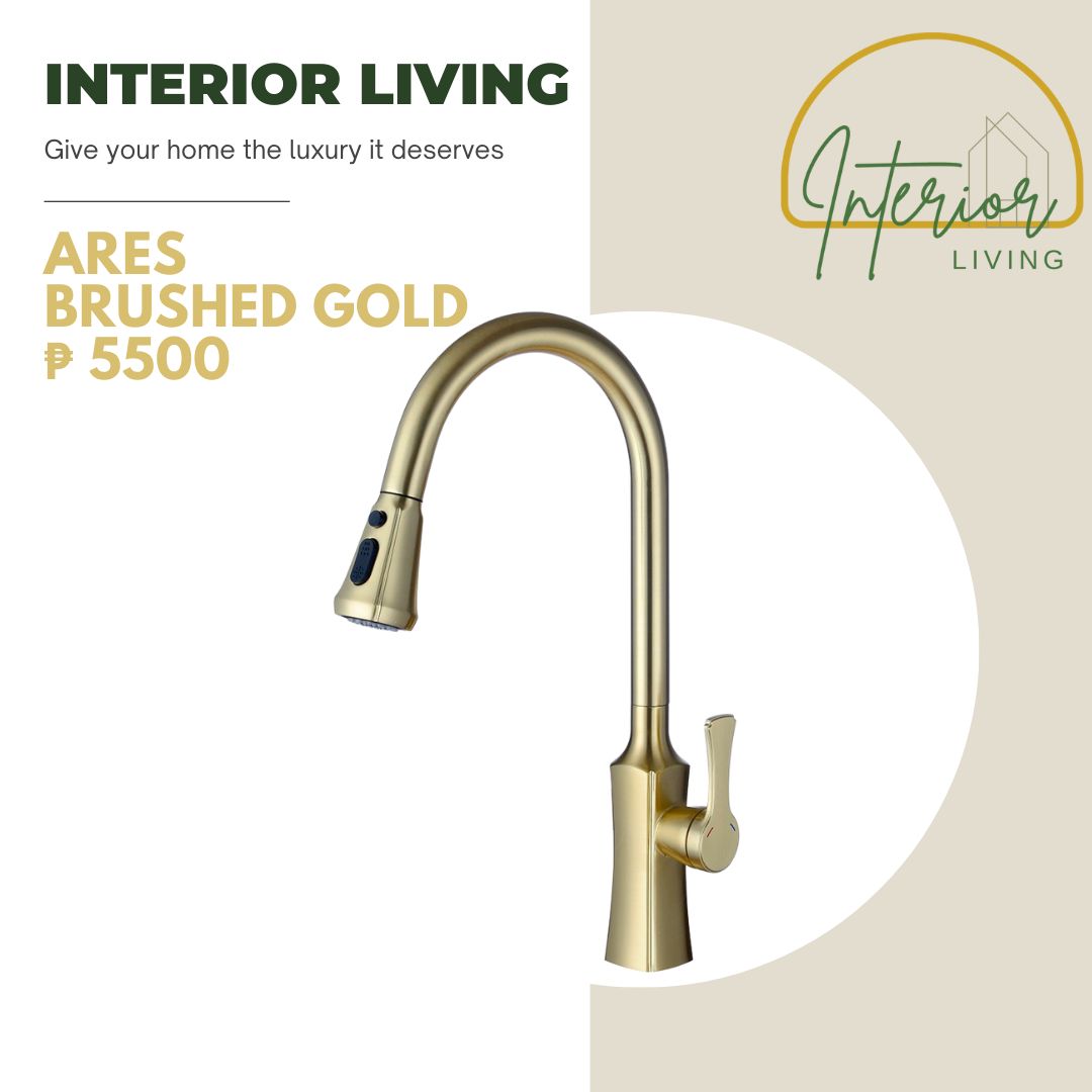 Ares Brushed Gold Pull-Out Kitchen Faucet