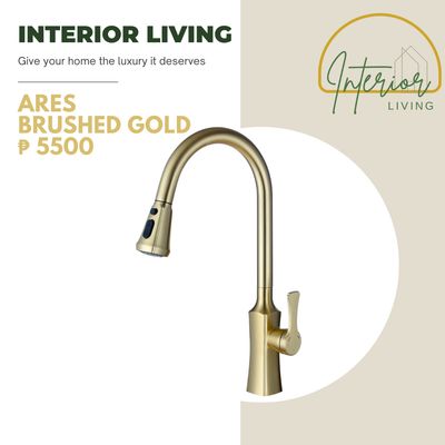 Ares Brushed Gold Pull-Out Kitchen Faucet