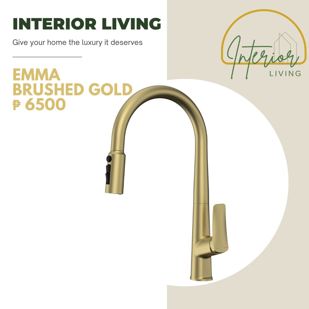 Emma Brushed Gold Pull-Out Kitchen Faucet