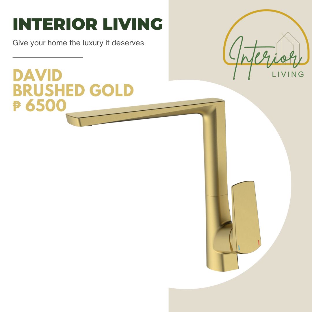 David Kitchen Faucet