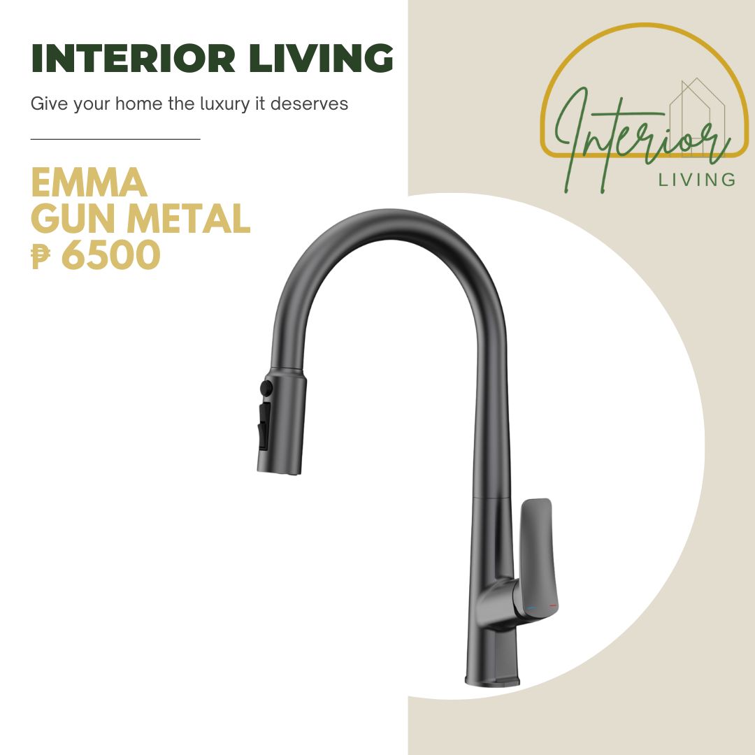 Emma Gun Metal Pull-Out Kitchen Faucet